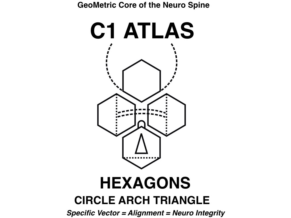 C1 Atlas